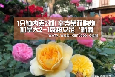 1分钟内丢2球!辛克莱双响炮 加拿大2-1反超女足‘新葡京’(图2) 新葡京