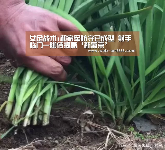 女足战术:郝家军防守已成型 射手临门一脚待提高‘新葡京’(图1) 新葡京