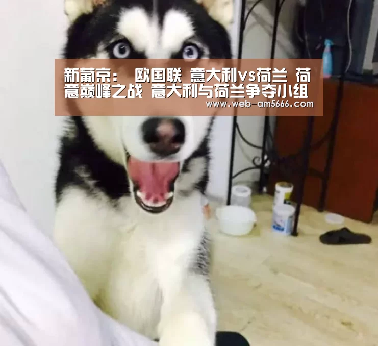 新葡京