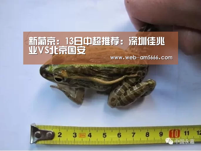 新葡京:13日中超推荐:深圳佳兆业VS北京国安(图2) 新葡京