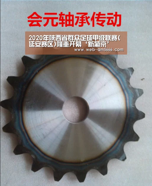 2020年陕西省群众足球甲级联赛(延安赛区)隆重开幕‘新葡京’(图2) 新葡京