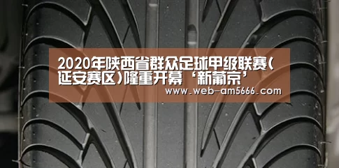2020年陕西省群众足球甲级联赛(延安赛区)隆重开幕‘新葡京’(图3) 新葡京