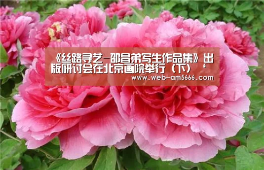 <h1>《丝路寻艺-邵昌弟写生作品集》出版研讨会在北京画院举行(下)‘新葡京’(图1) 新葡京