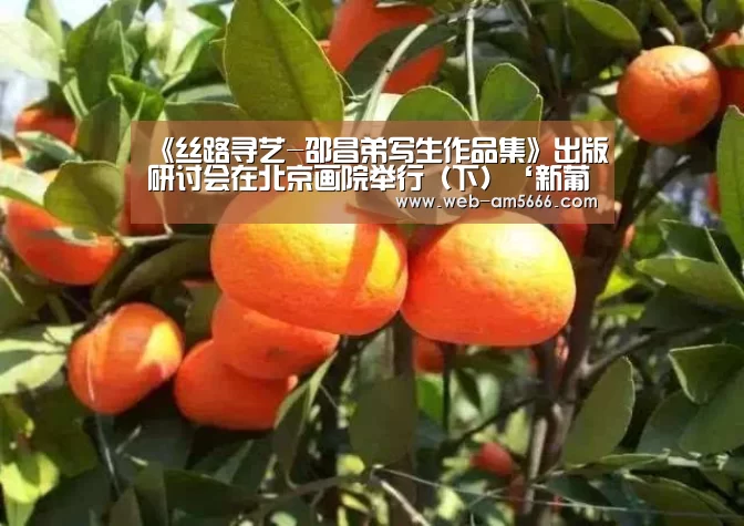 <h1>《丝路寻艺-邵昌弟写生作品集》出版研讨会在北京画院举行(下)‘新葡京’(图3) 新葡京