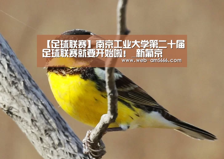 【足球联赛】南京工业大学第二十届足球联赛就要开始啦!_新葡京(图3) 新葡京