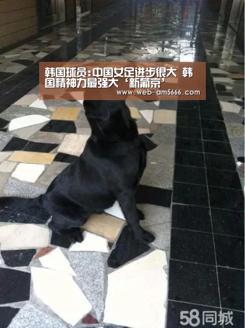 新葡京