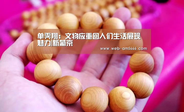单霁翔:文物应重回人们生活展现魅力|新葡京(图1) 新葡京