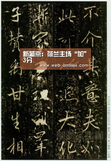新葡京:荷兰主场“加”3分(图3) 新葡京