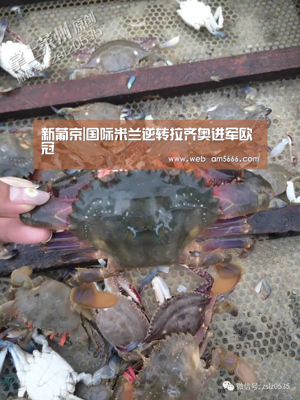 新葡京|国际米兰逆转拉齐奥进军欧冠(图1) 新葡京
